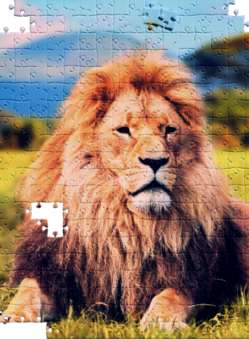 Puzzle XXL: Animales Increíbles