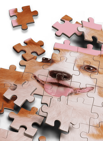 Jigsaw Fun: Piece It Together!