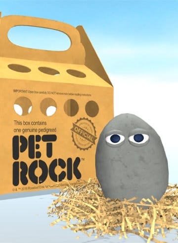 Pet Rock