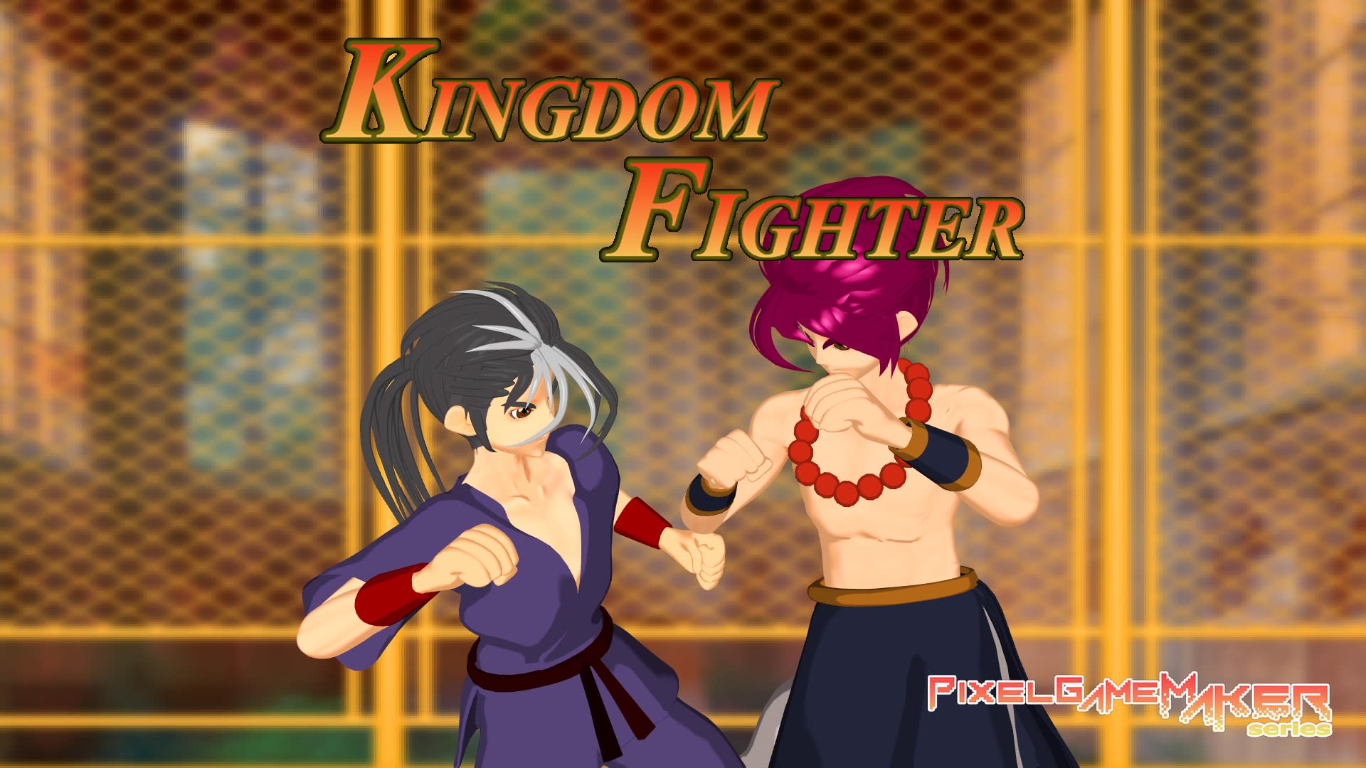 Pixel Game Maker Series KINGDOM FIGHTER