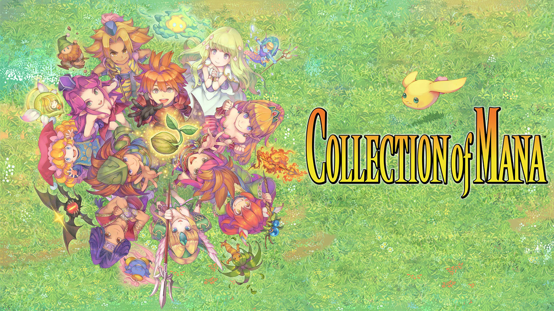 Collection of Mana