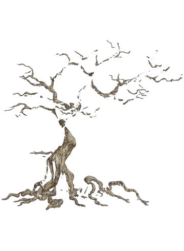 The Dead Tree of Ranchiuna 