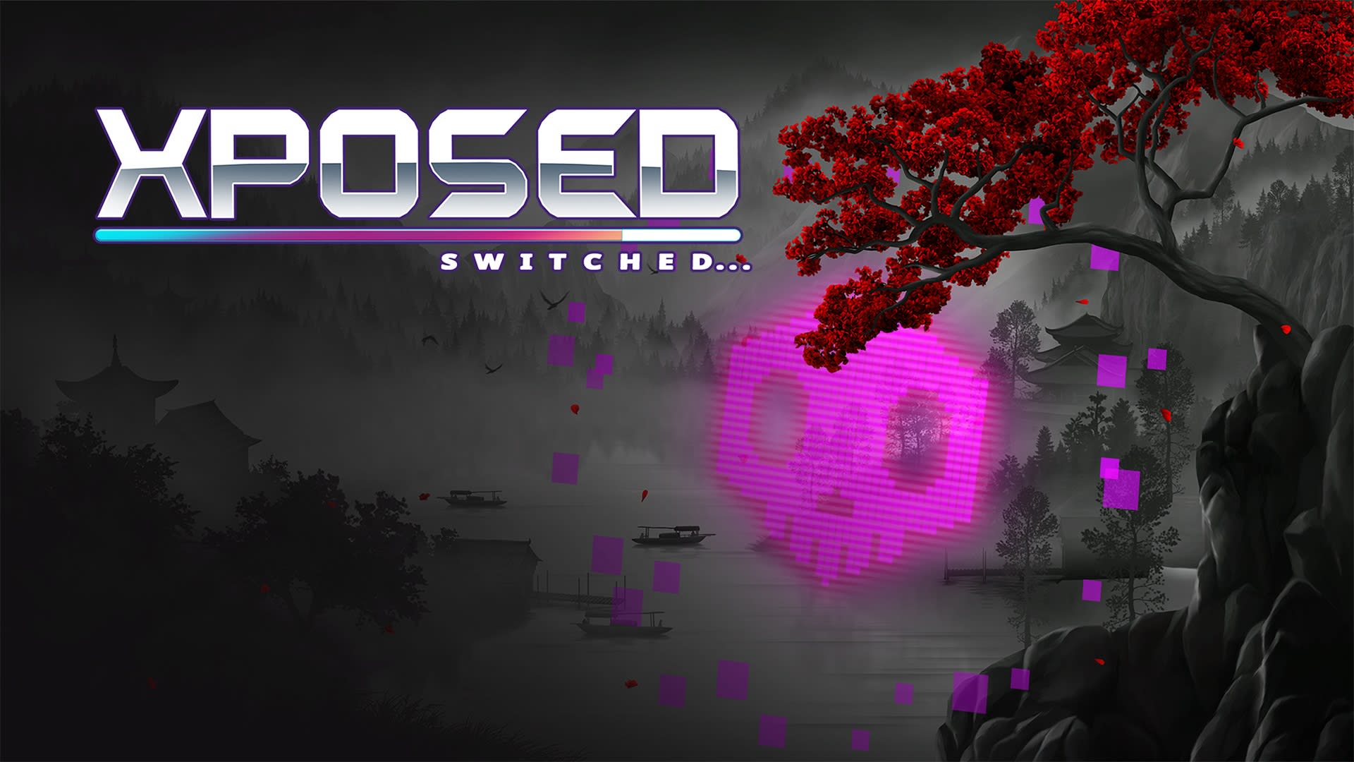 XPOSED SWITCHED