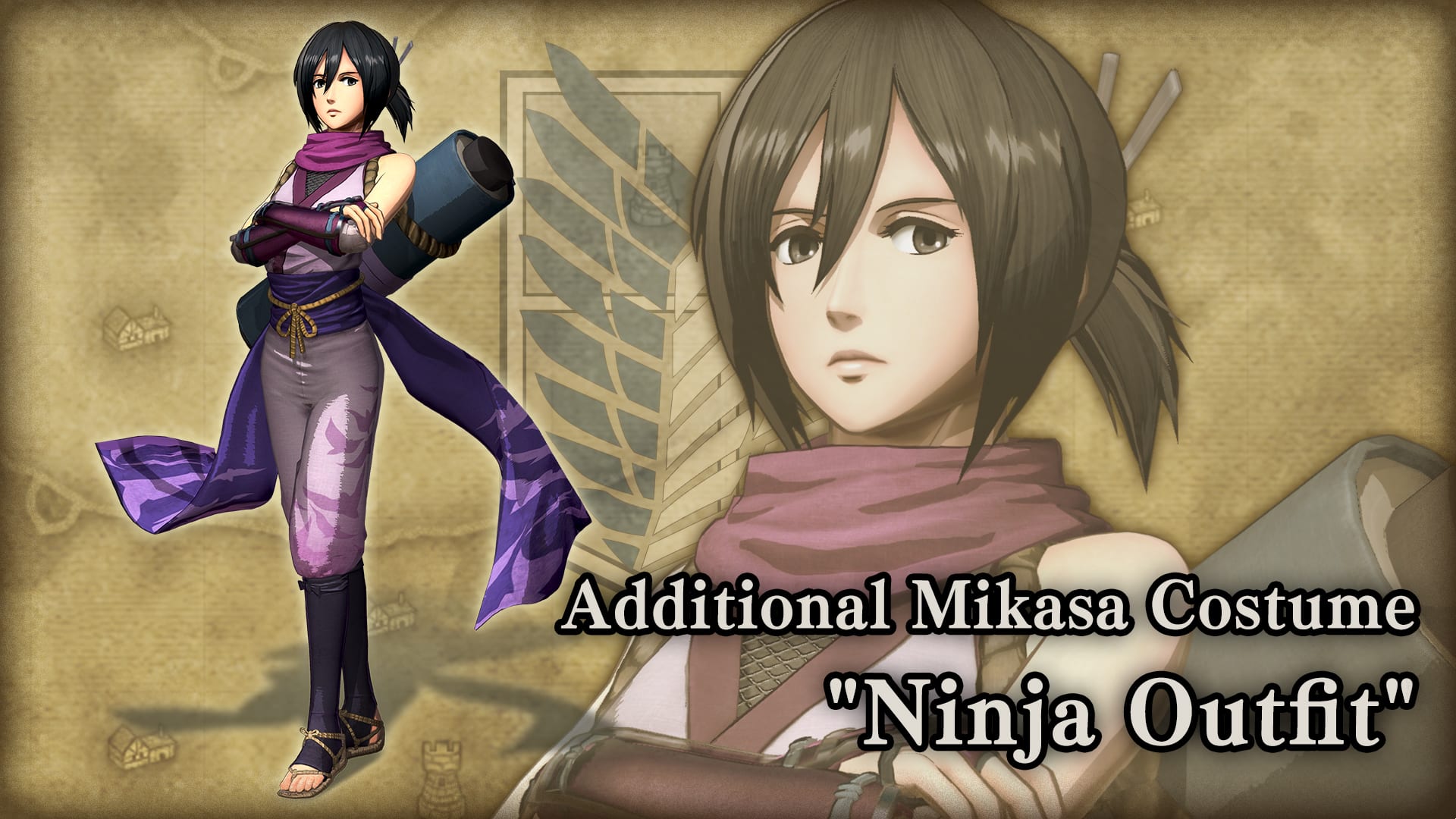 Roupa adicional para Mikasa, Ninja