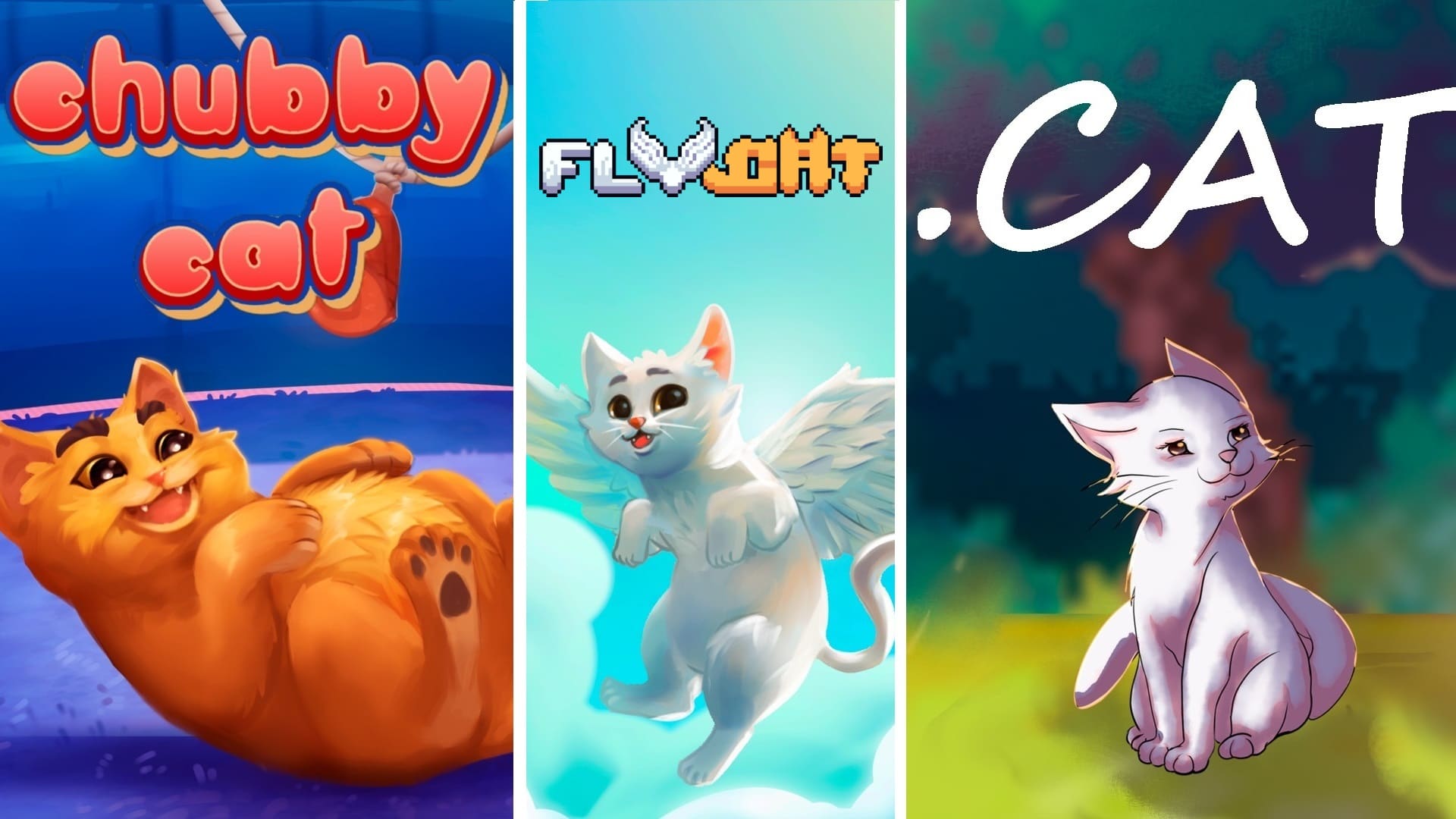 Mega BUNDLE CATS