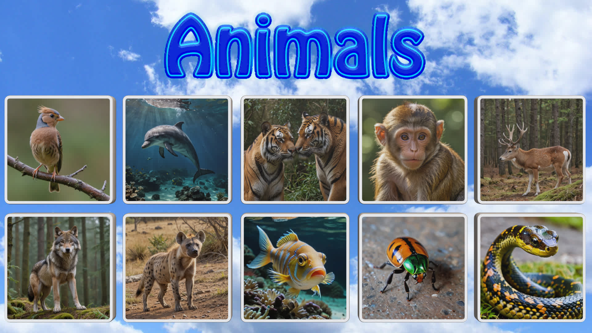 Animals para Nintendo Switch - Site Oficial da Nintendo para Brasil