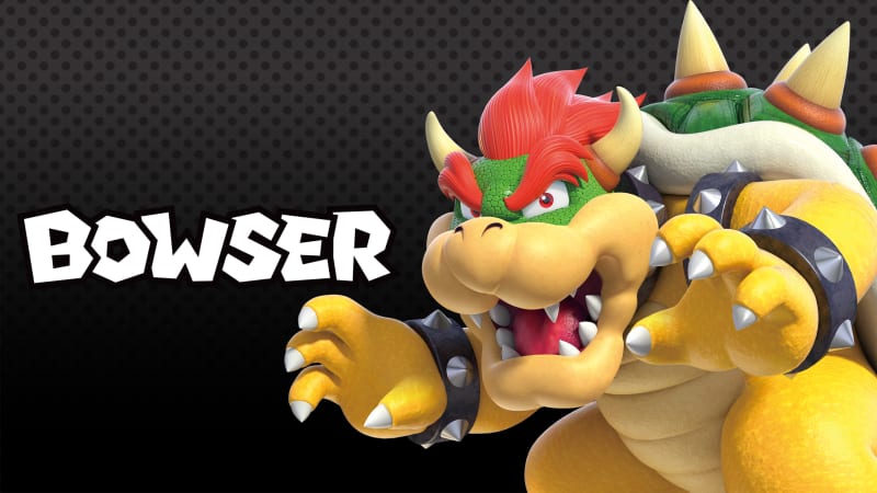 Nintendo switch mario and bowser edition deals