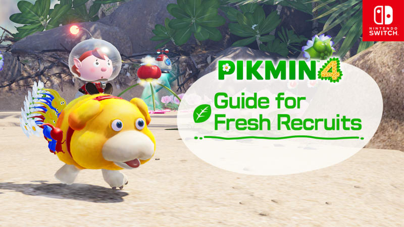 The best Pikmin 4 deals and cheapest price on Nintendo Switch