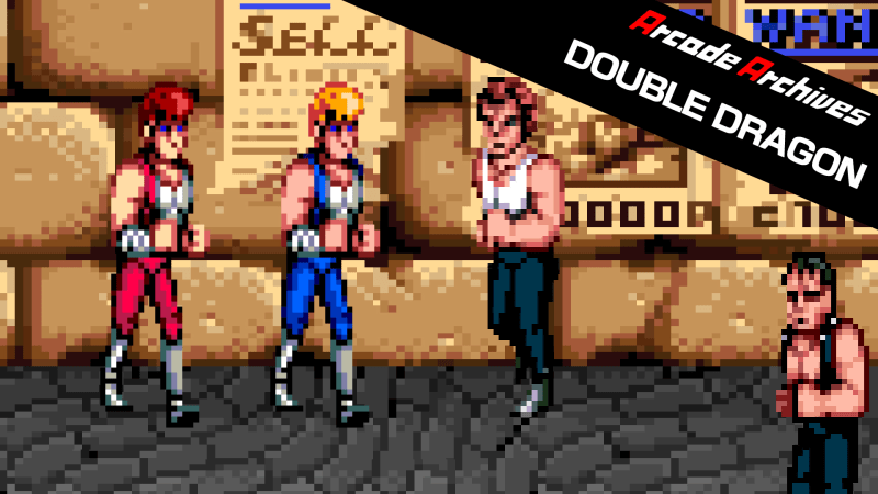 DOUBLE DRAGON retro arcade game by TAITO 1987 