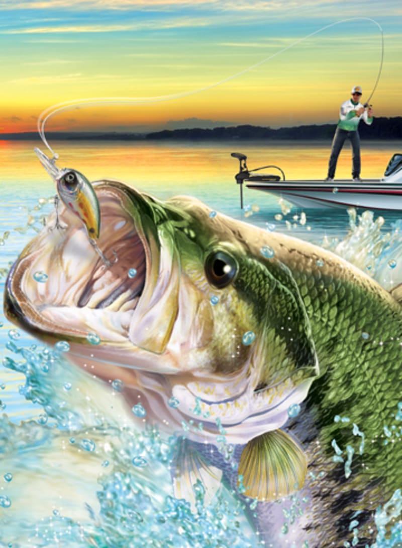 Bass pro shop nintendo 2025 switch