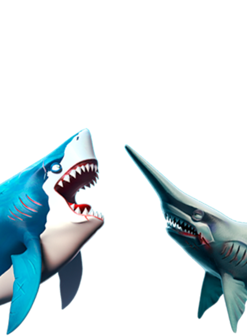 Miami Shark - 🕹️ Online Game