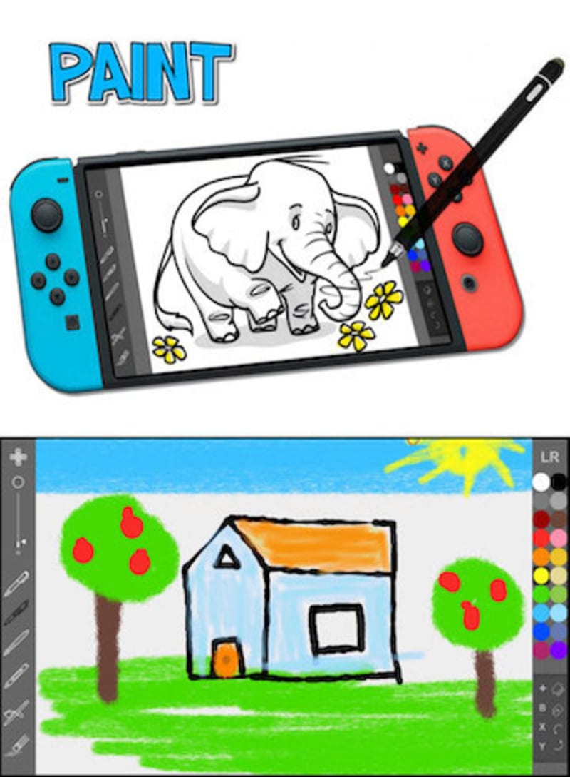 Can you paint a nintendo switch online