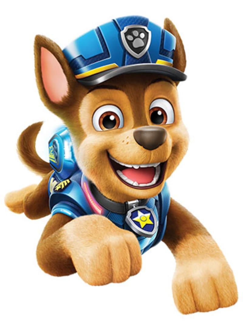 Paw patrol city sales