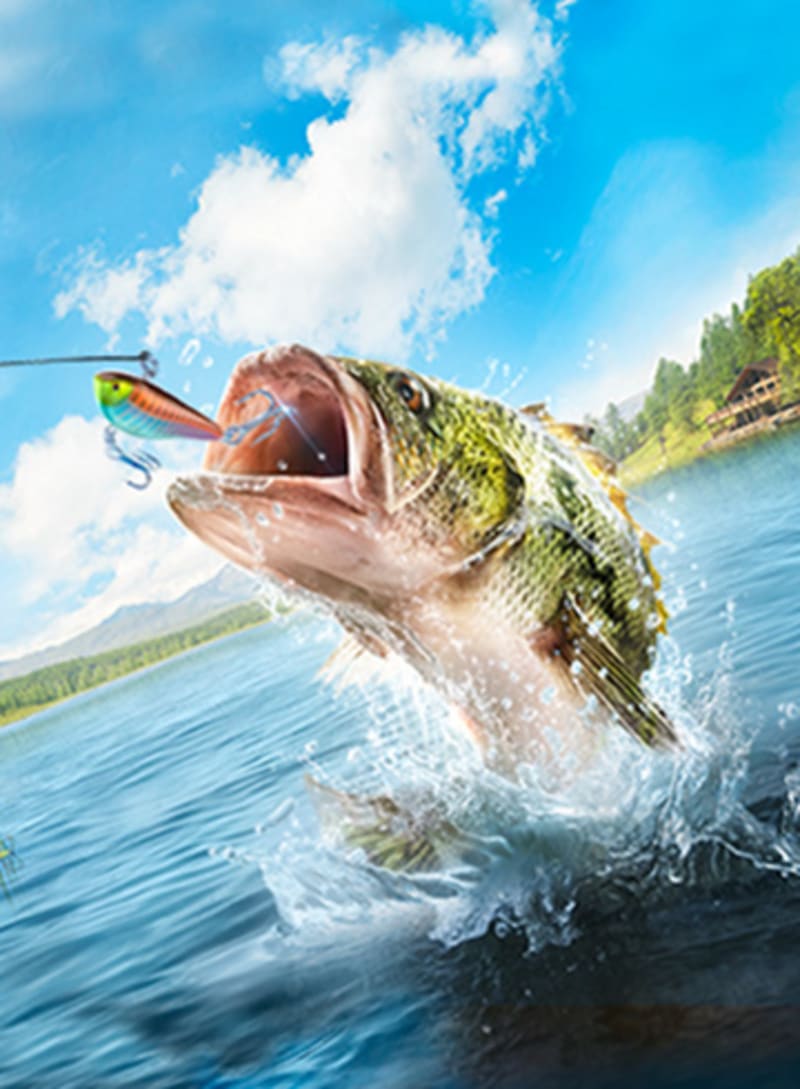 envidia Darse prisa El diseño Legendary Fishing para Nintendo Switch - Sitio oficial de Nintendo