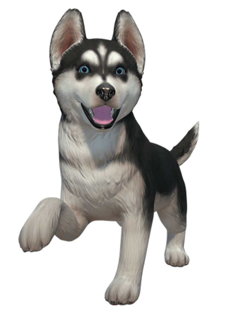 Nintendo switch puppy game outlet