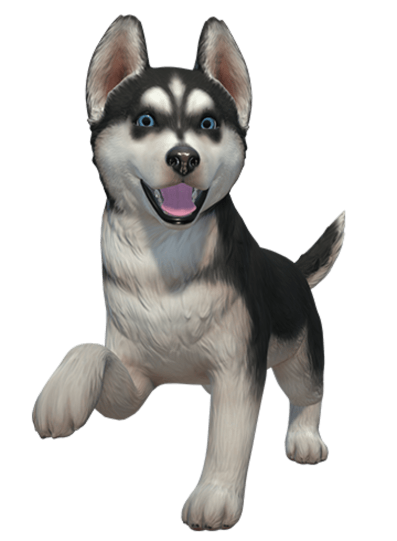 Get Pet Run - Puppy Dog Game - Microsoft Store