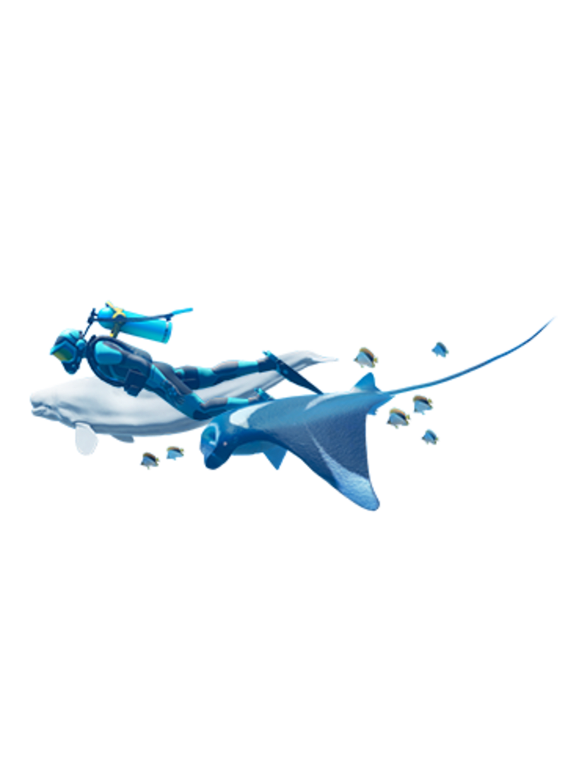 Nintendo switch deals endless ocean