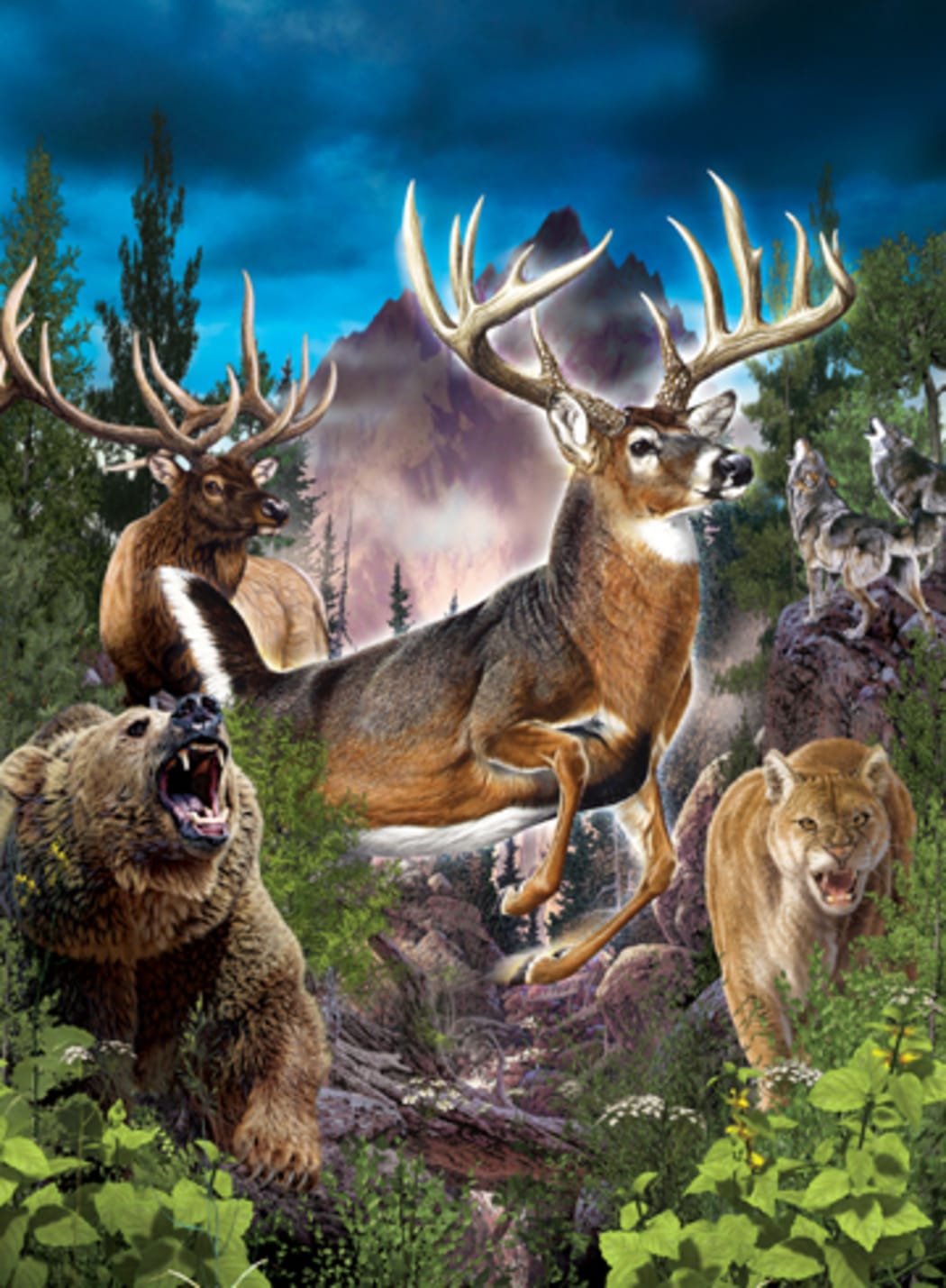 Cabela's: The Hunt - Championship Edition for Nintendo Switch - Nintendo  Official Site