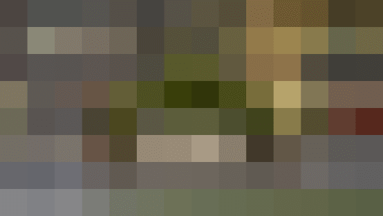 Contact us at Nintendo