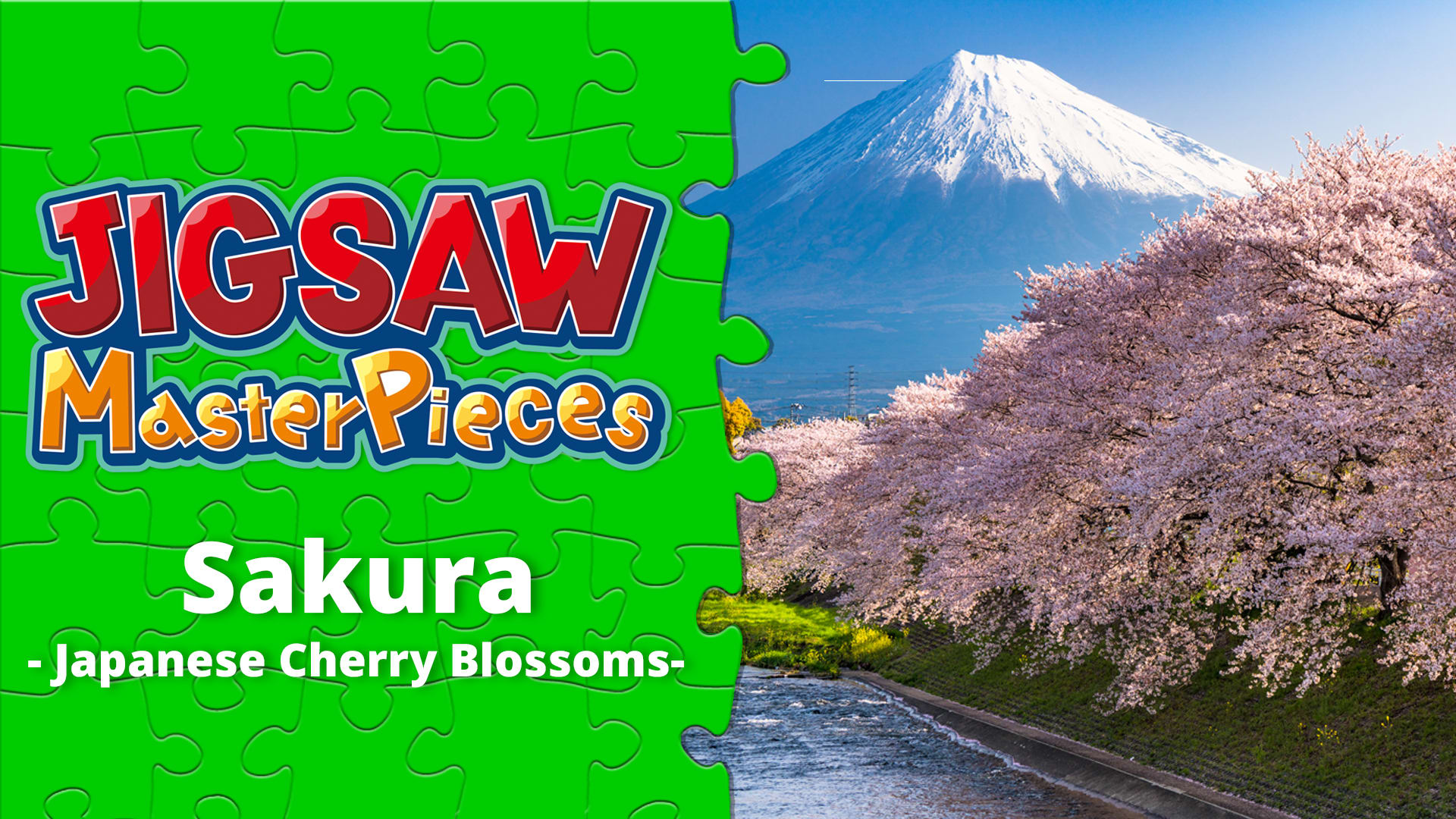 Sakura - Japanese Cherry Blossoms -