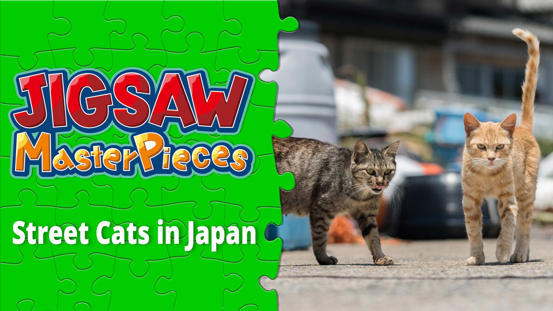 Street Cats in Japan