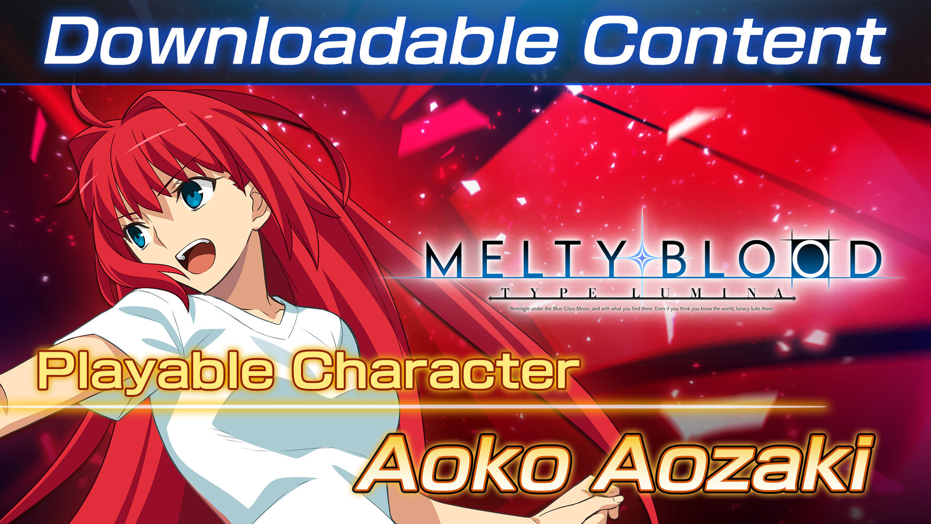 DLC: Playable Character - Aoko Aozaki