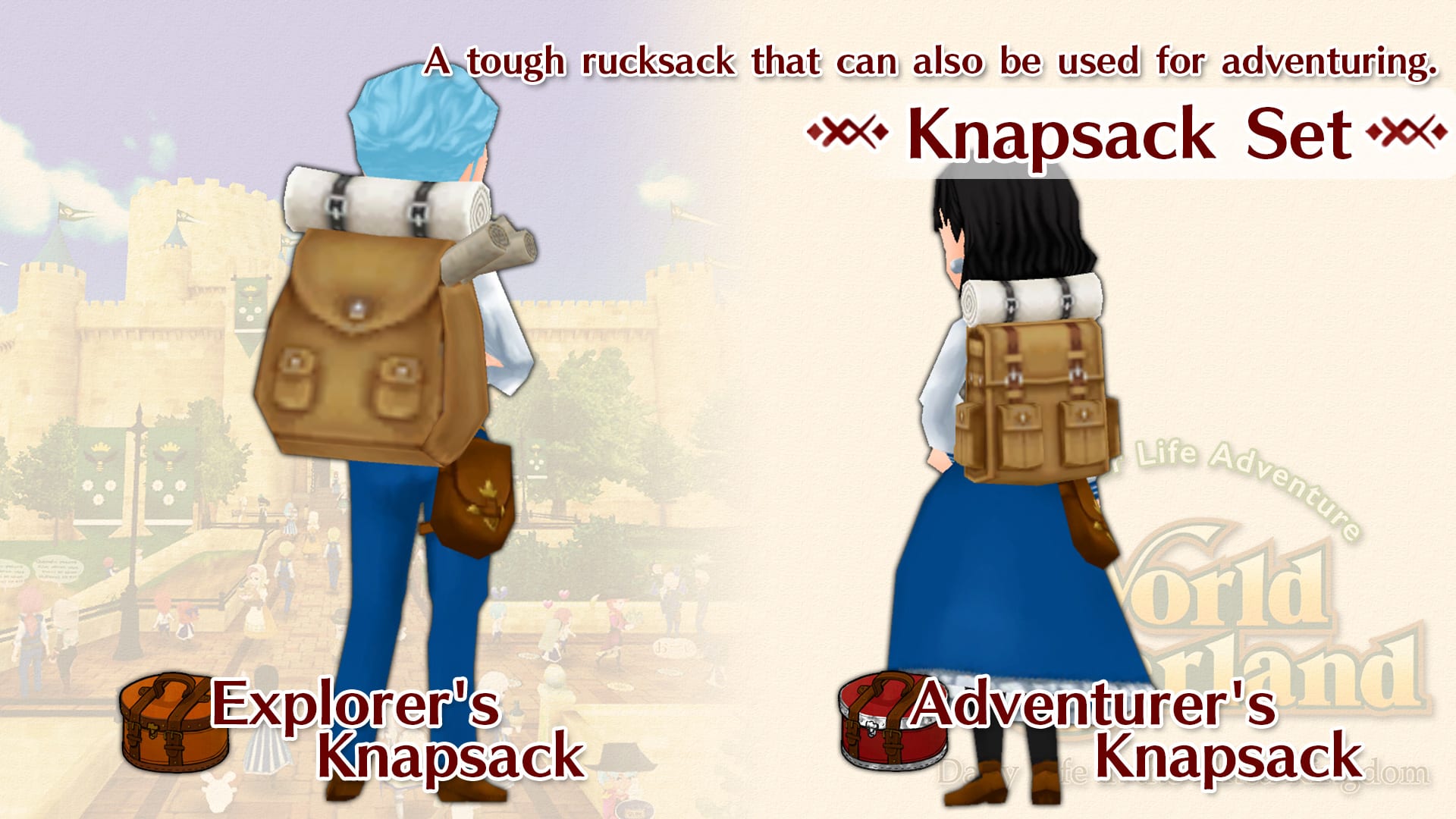 Knapsack Set
