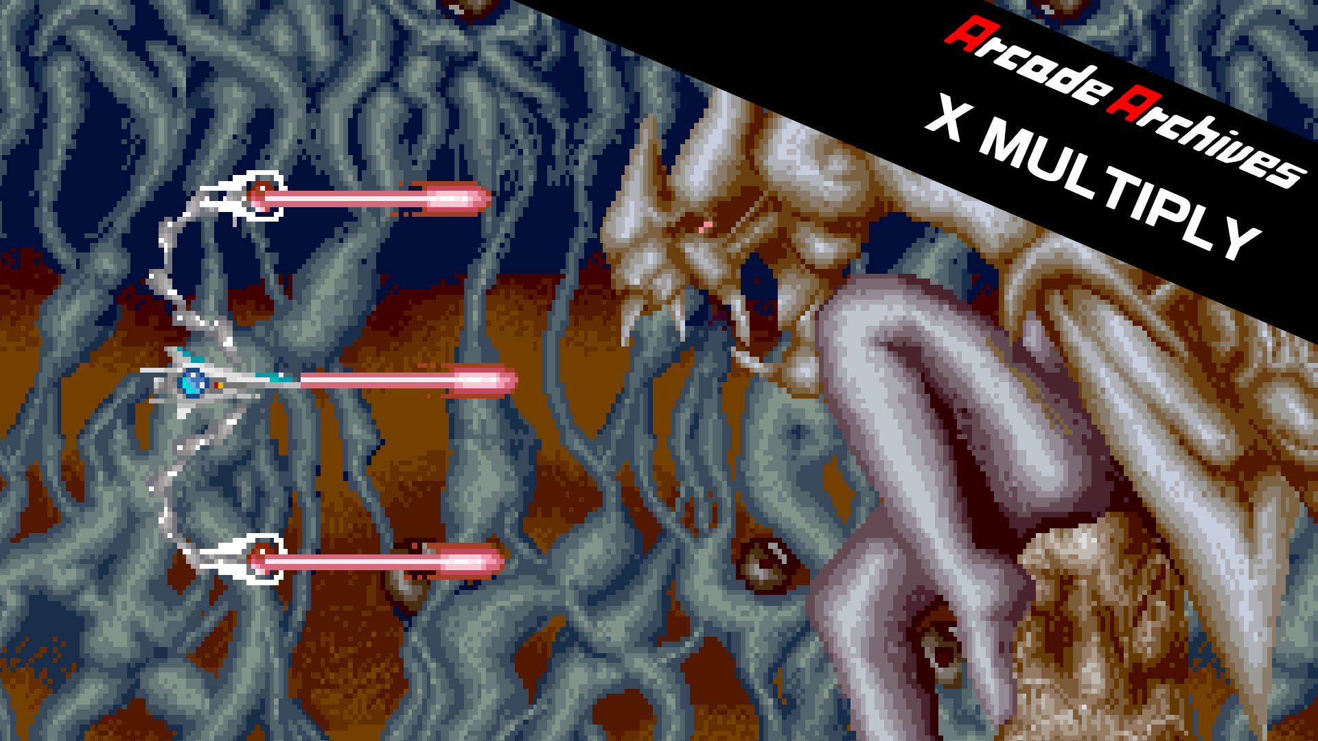 Arcade Archives X MULTIPLY