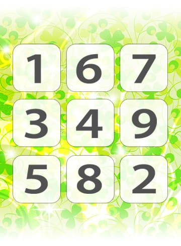 THE Number Puzzle