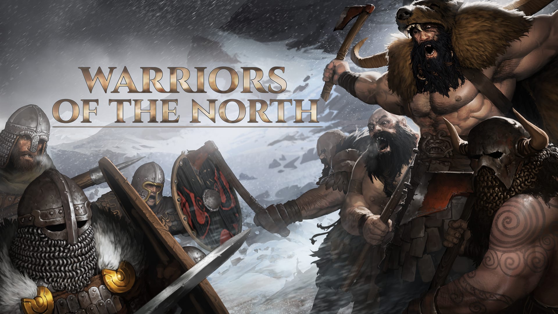 Warriors of the North