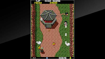 KiKi KaiKai (NSW) gameplay screenshot 14