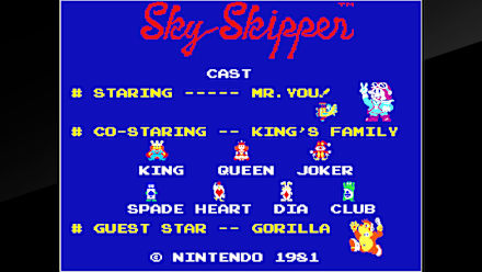 Sky Skipper (NSW) gameplay screenshot 5