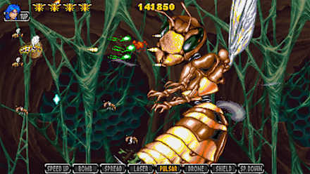 Apidya' Special (NSW) gameplay screenshot 12