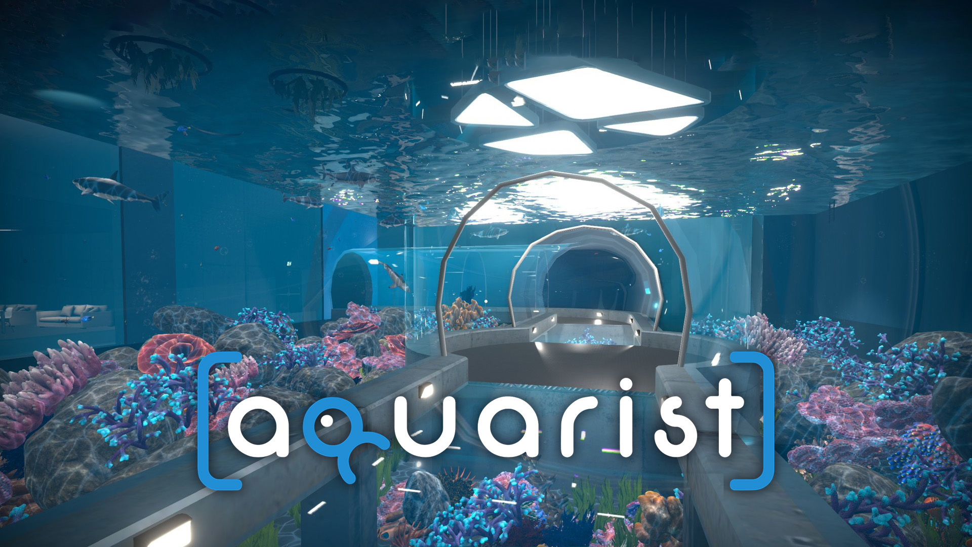 Aquarist screenshot thumbnail video