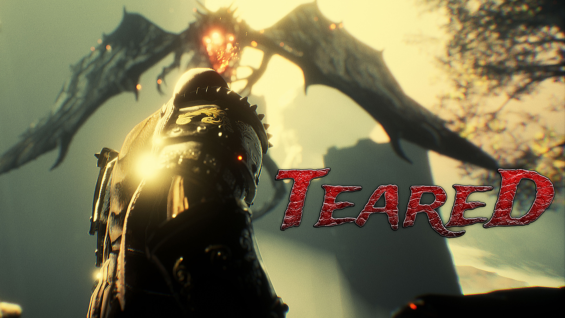 Teared screenshot thumbnail video