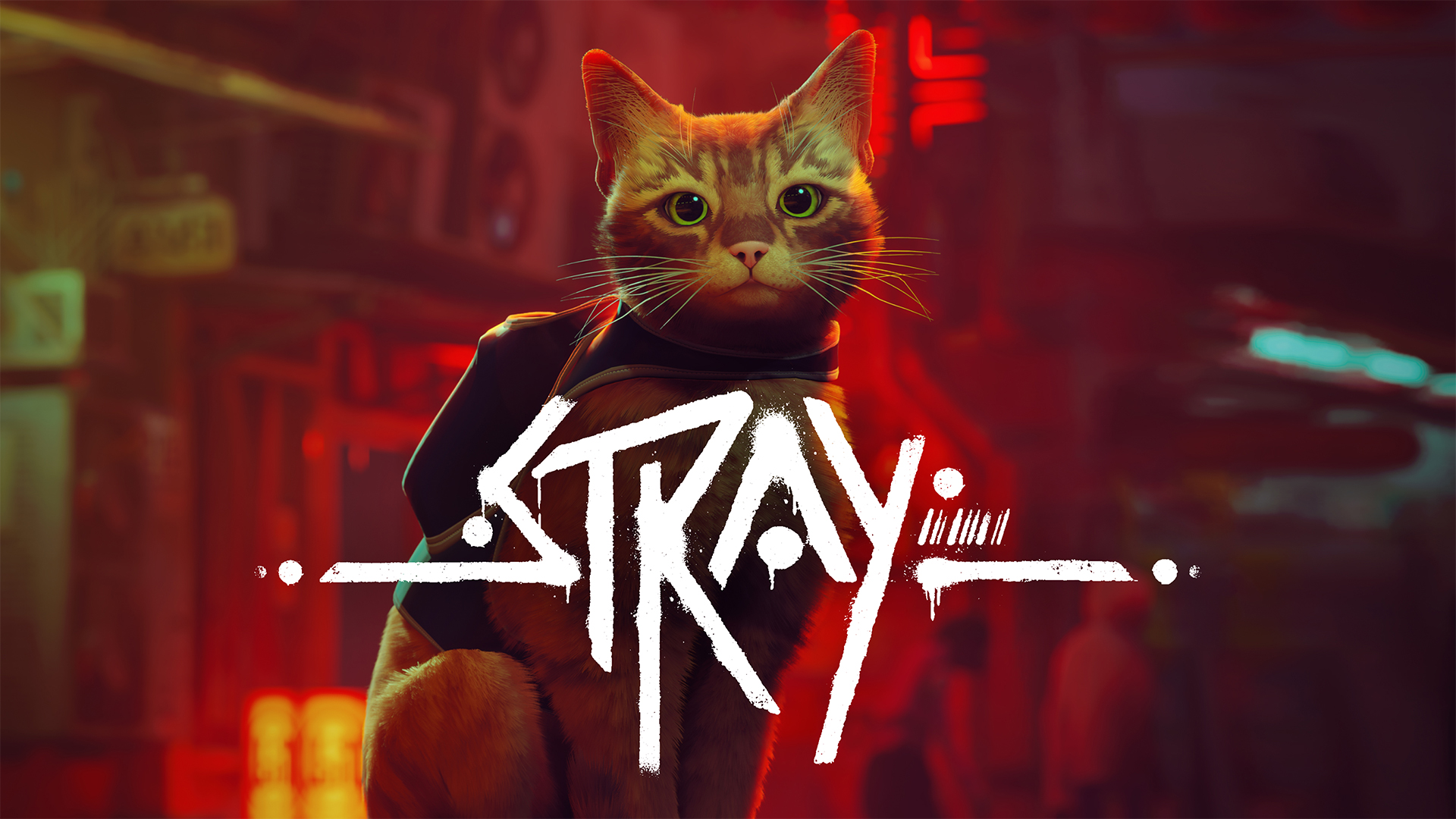Stray screenshot thumbnail video
