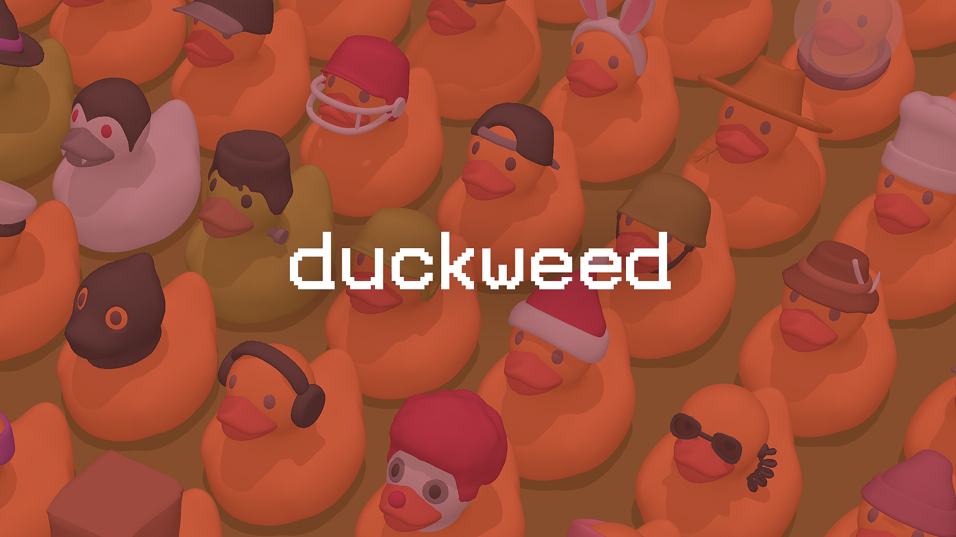 Duckweed