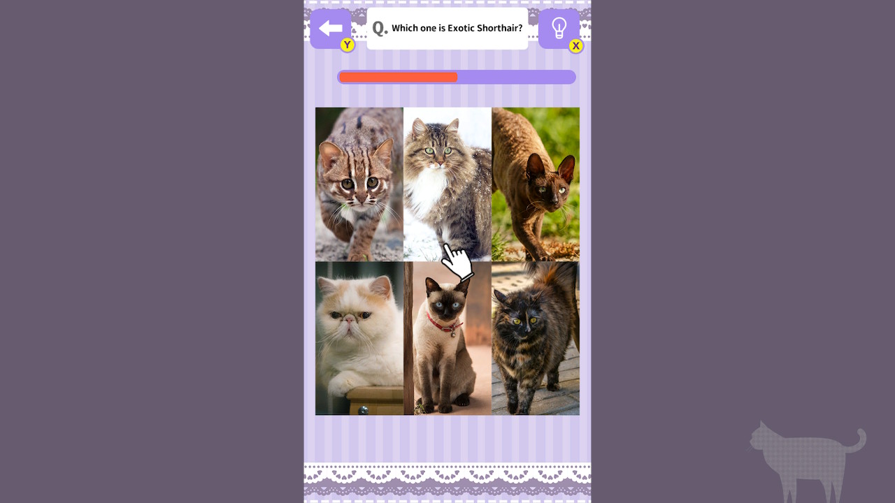 Cat Spotting Challenge! screenshot screenshot 1