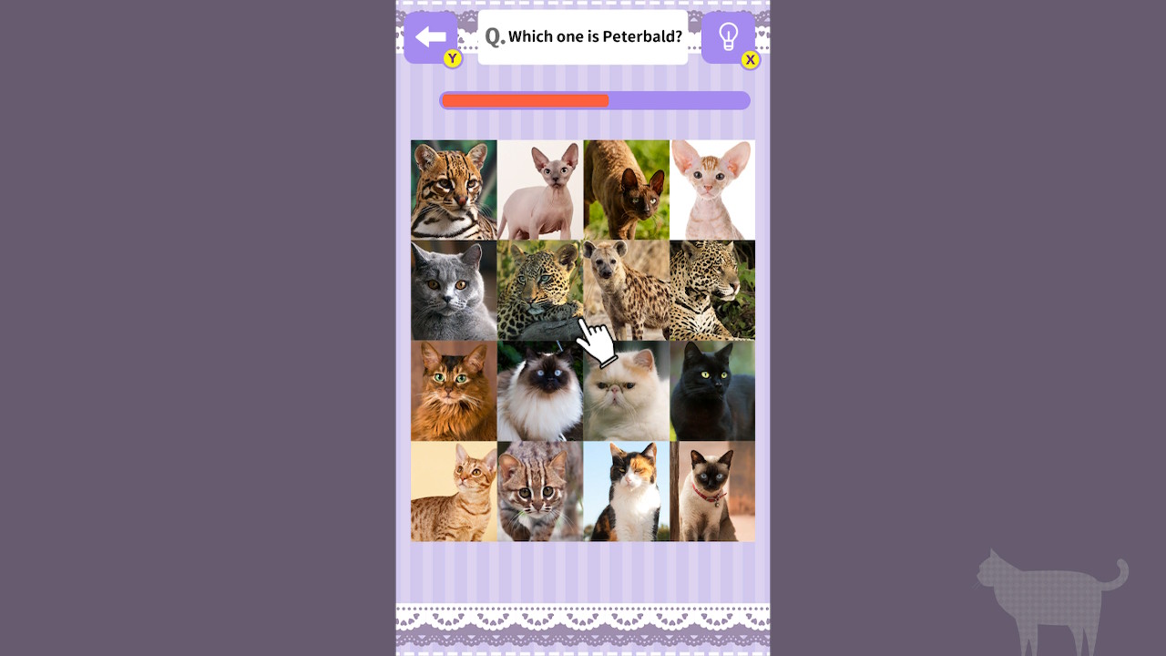 Cat Spotting Challenge! screenshot screenshot 3