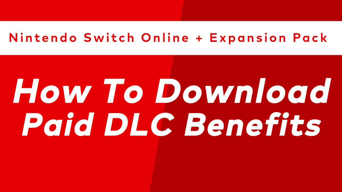 Nintendo switch paid online shop