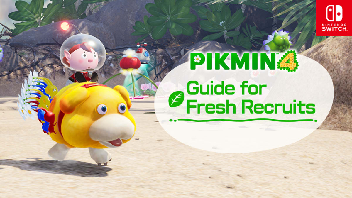 Pikmin Corner Special Order 【公式通販】