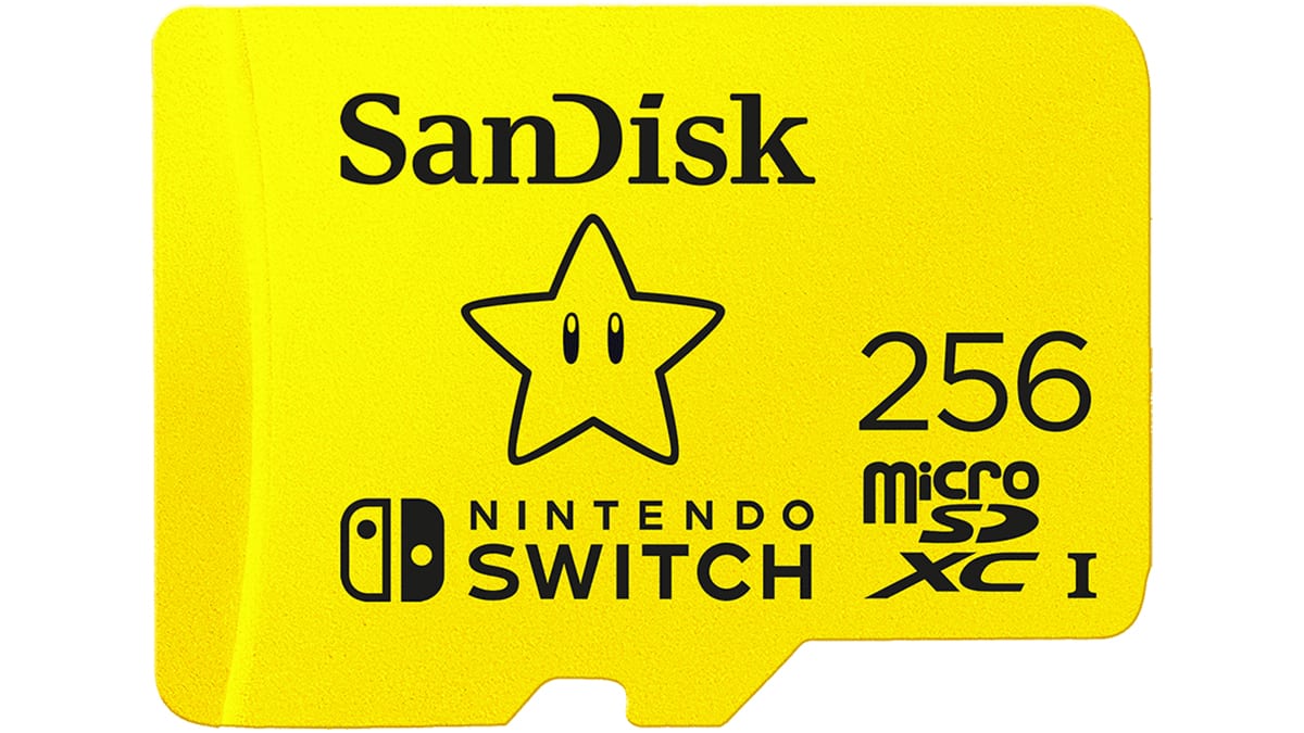Nintendo switch come with sd card 2025