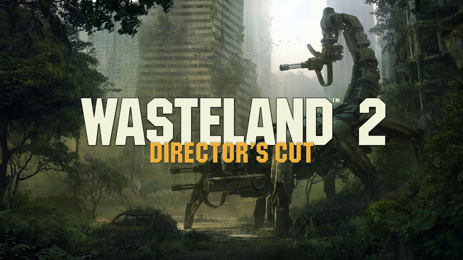 Wasteland 2: Director's Cut cover image