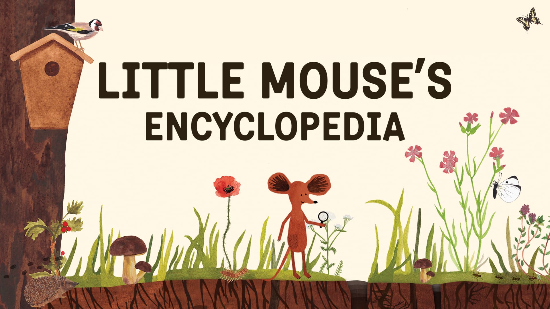 Little Mouse's Encyclopedia cover image