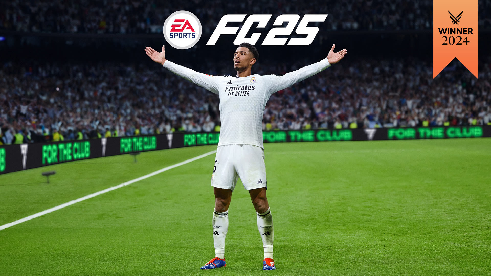 EA SPORTS FC™ 25 cover image