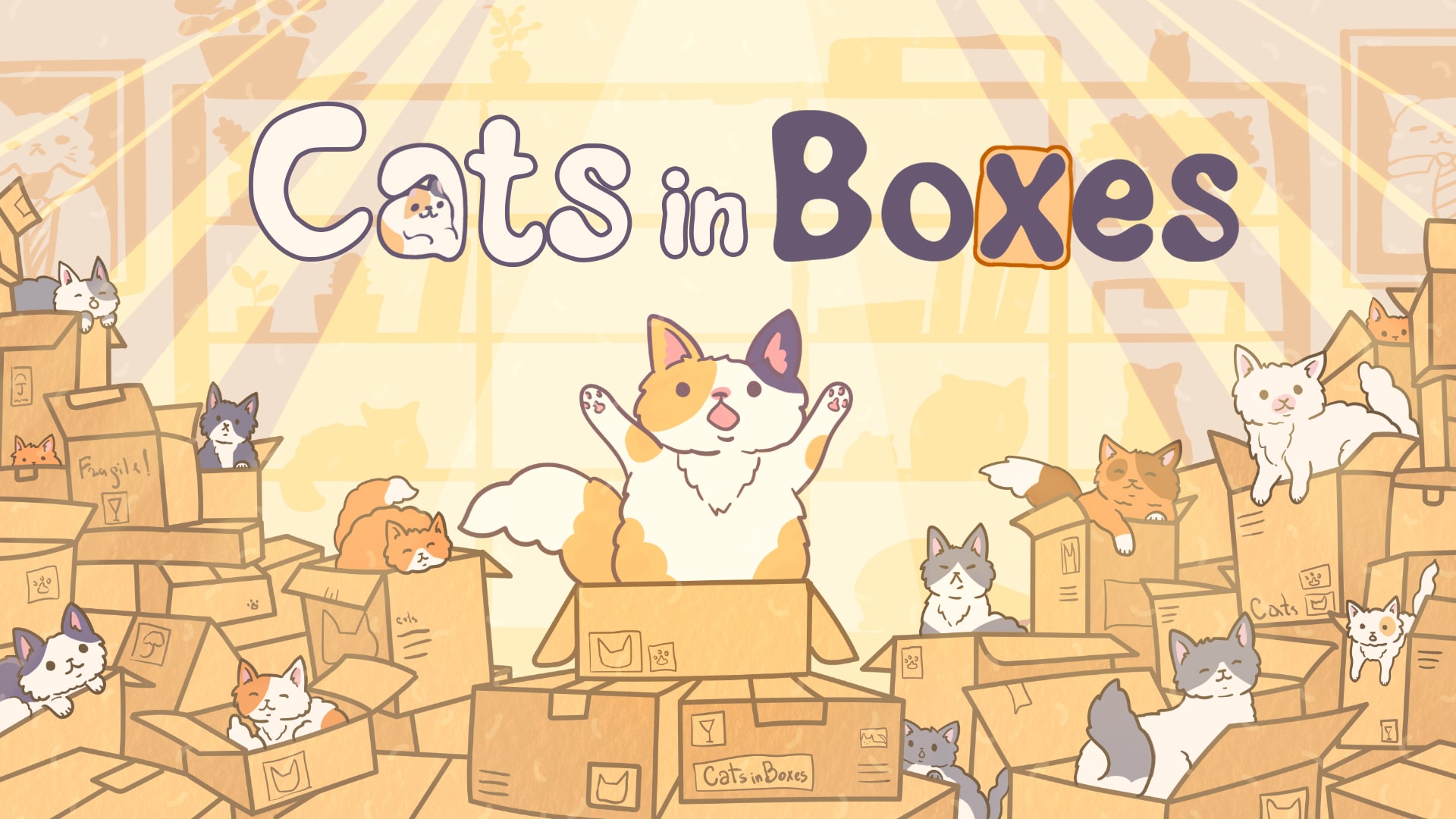 Cats & Boxes Cats & Boxes