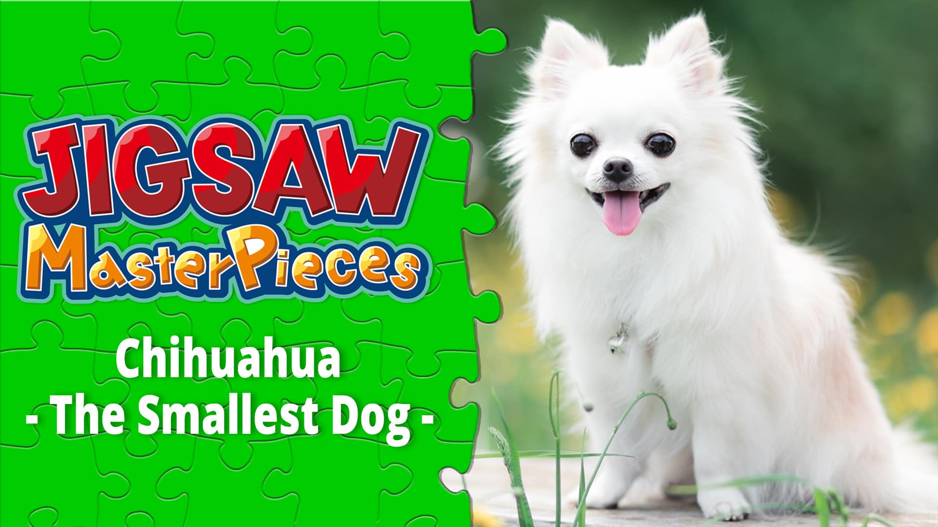 Copertina di Chihuahua - The Smallest Dog -