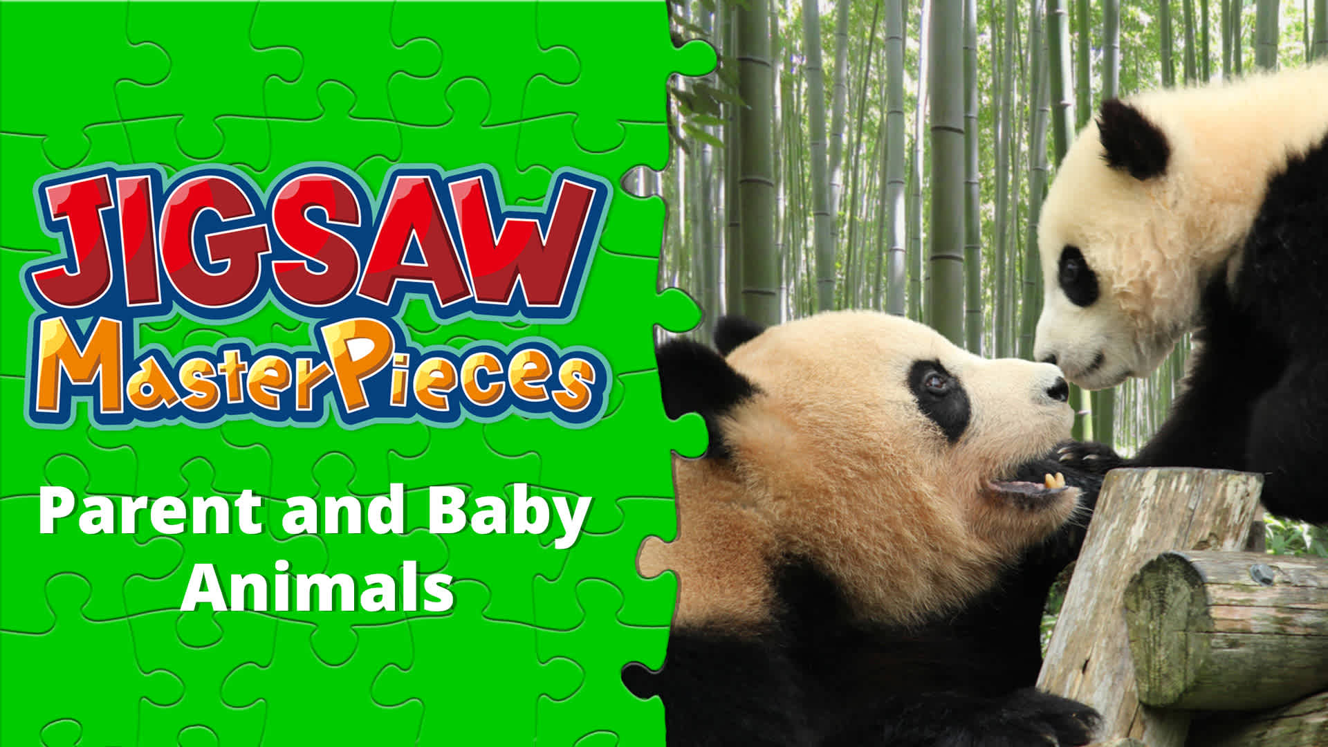 Copertina di Parent and Baby Animals