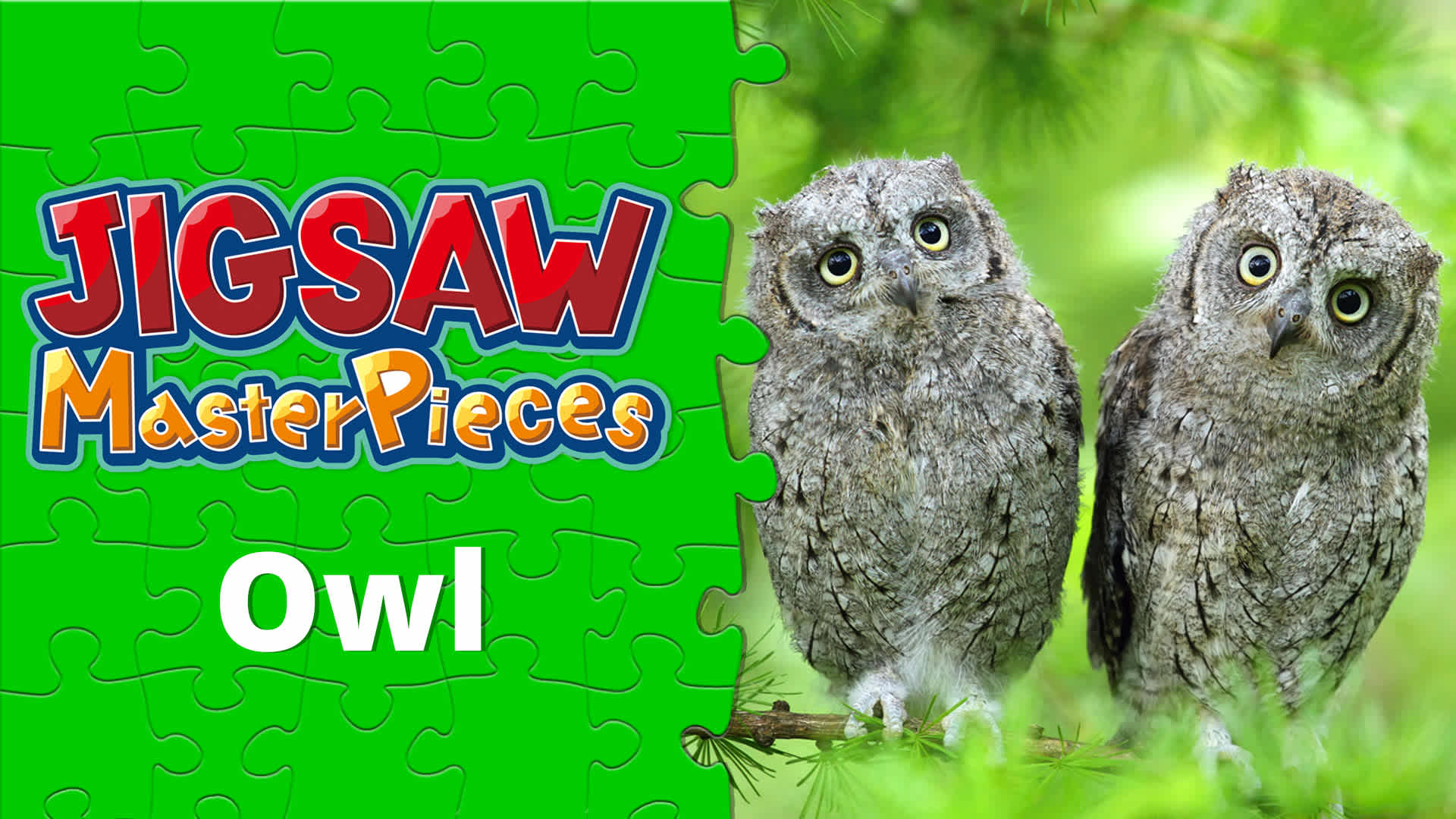 Owl for Nintendo Switch - Nintendo Official Site