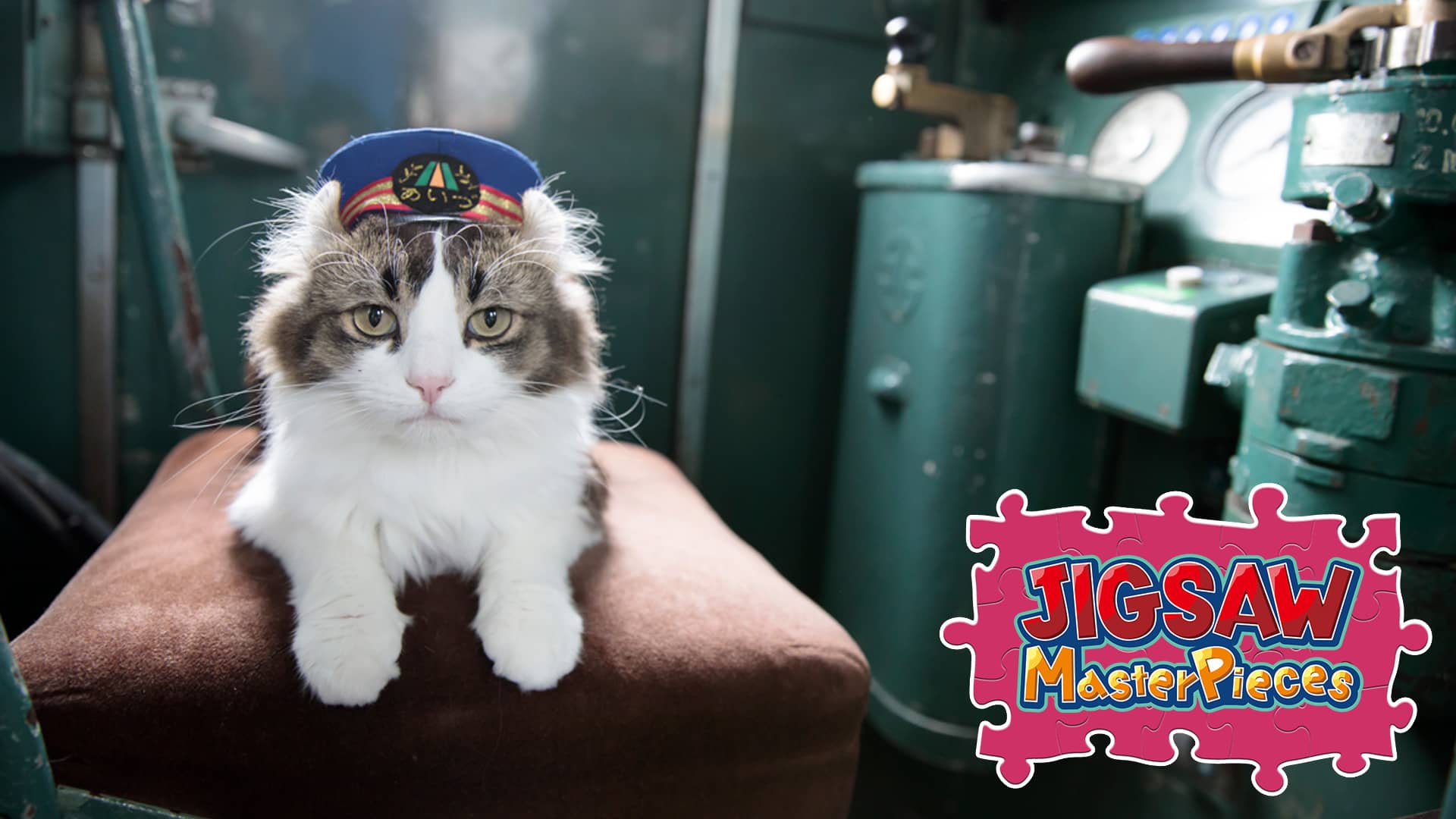 Station Master Cat in Japan / Kenta Igarashi for Nintendo Switch